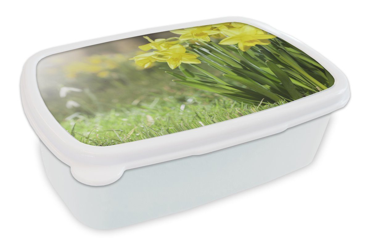 MuchoWow Lunchbox Narzisse - Gelb - Frühling, Kunststoff, (2-tlg), Brotbox für Kinder und Erwachsene, Brotdose, für Jungs und Mädchen weiß