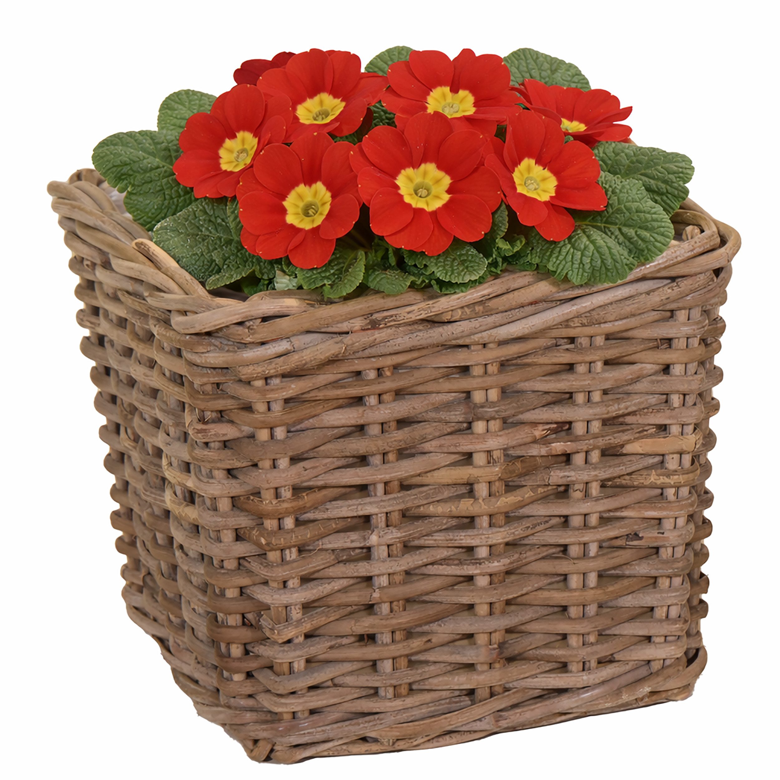 Annastore Weidenkorb Weidenkorb quadratisch - Pflanzkorb mit Folie Landhaus Stil Blumenkorb