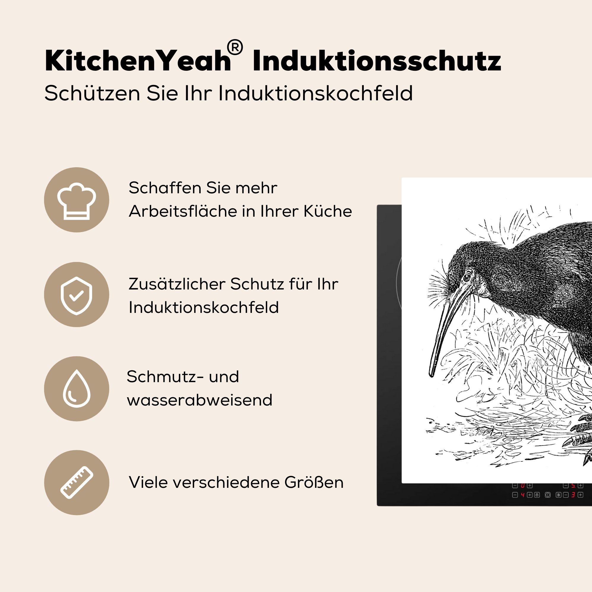 Kiwis, Herdblende-/Abdeckplatte Arbeitsplatte Vinyl, Naturgetreue MuchoWow Ceranfeldabdeckung, tlg), eines Skizze (1 cm, 78x78 küche für
