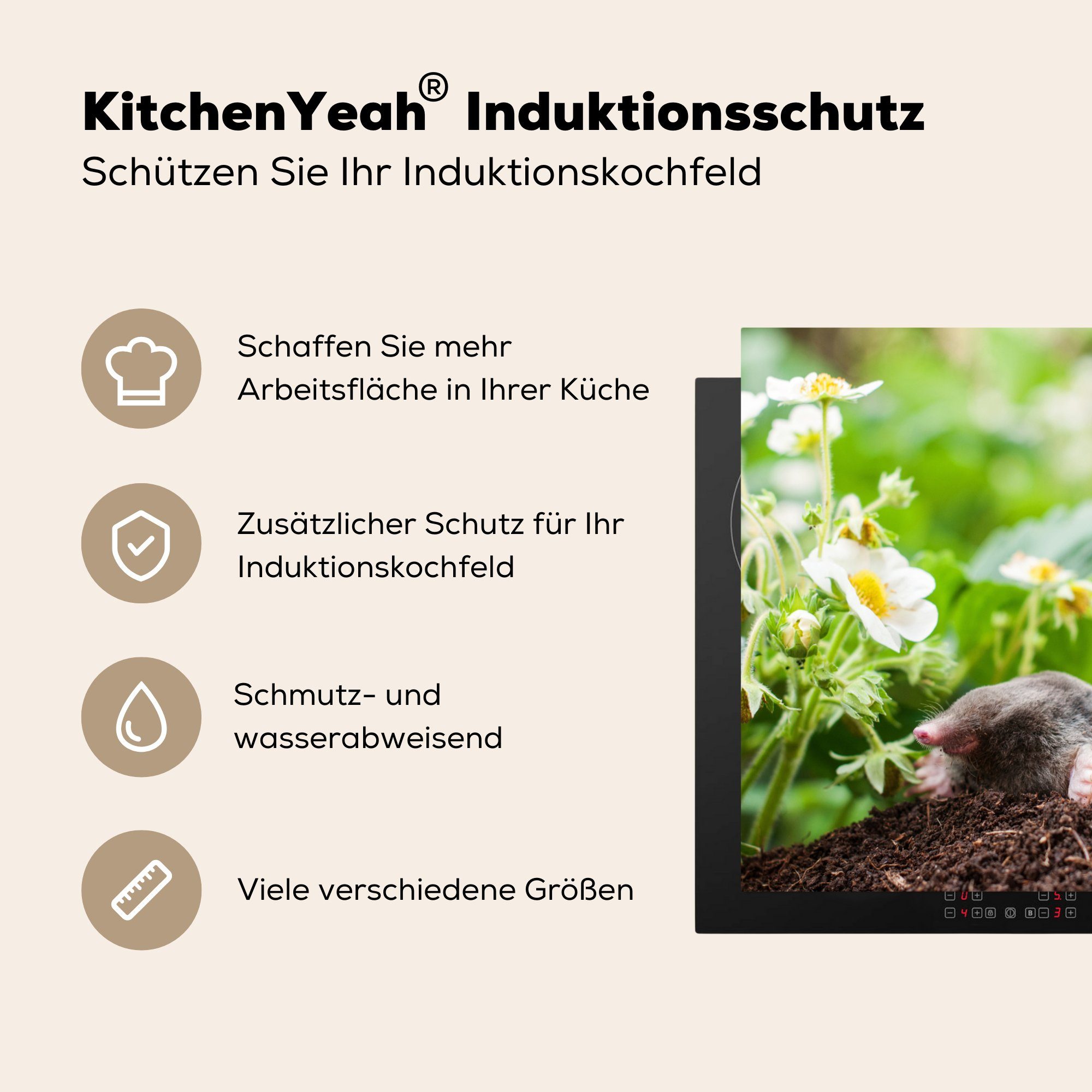 cm, tlg), 78x78 MuchoWow Vinyl, Blumen für Sand, (1 Maulwurf Herdblende-/Abdeckplatte - Arbeitsplatte Ceranfeldabdeckung, küche -