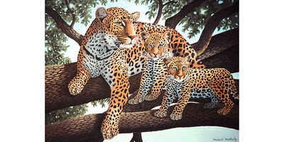 Royal Langnickel Malvorlage Leoparden, Junior Large, Leoparden