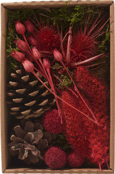Kunstpflanze Red, Othmar Decorations, 100 g