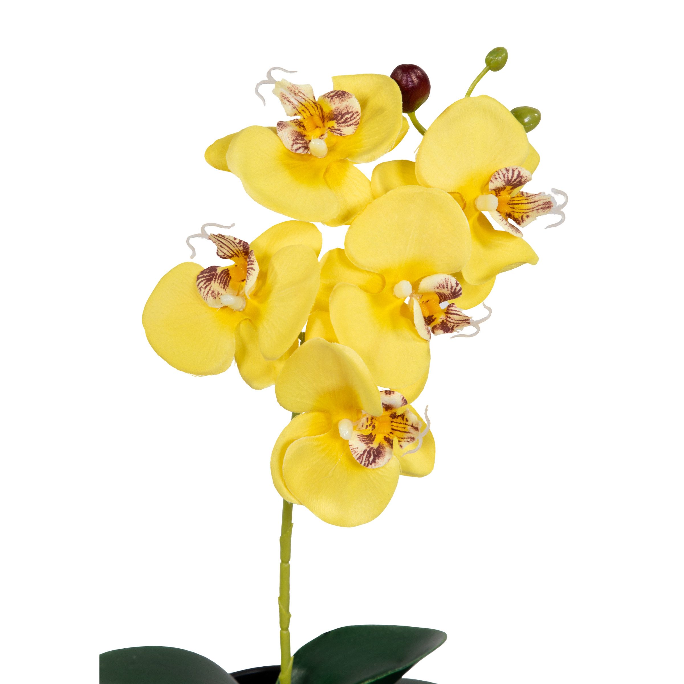 Kunstblume Künstliche Orchidee 38cm im Topf LA Phalaenopsis mit Textilblüten, Seidenblumen Roß, Höhe 38,00 cm, Farbe: Gelb – Bild 3 von 5
