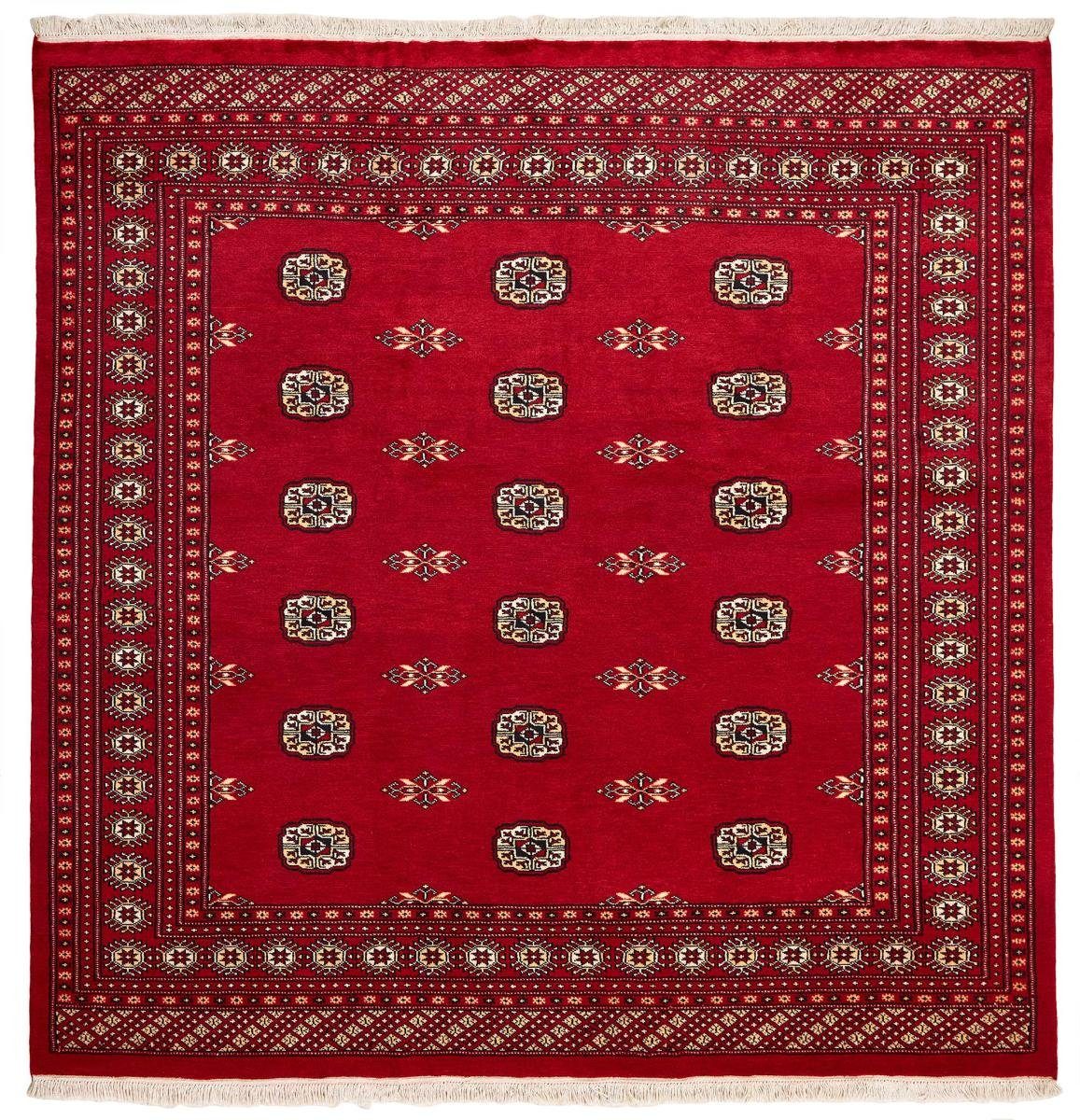 Orientteppich Pakistan Buchara 2ply 202x206 Handgeknüpfter Orientteppich, Nain Trading, rechteckig, Höhe: 8 mm