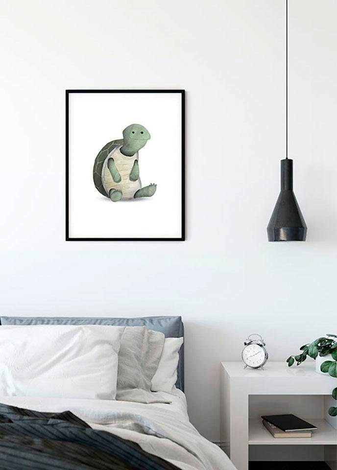 Komar Poster Cute Animal Turtle, Schildkröten (1 St), Kinderzimmer,  Schlafzimmer, Wohnzimmer | Poster