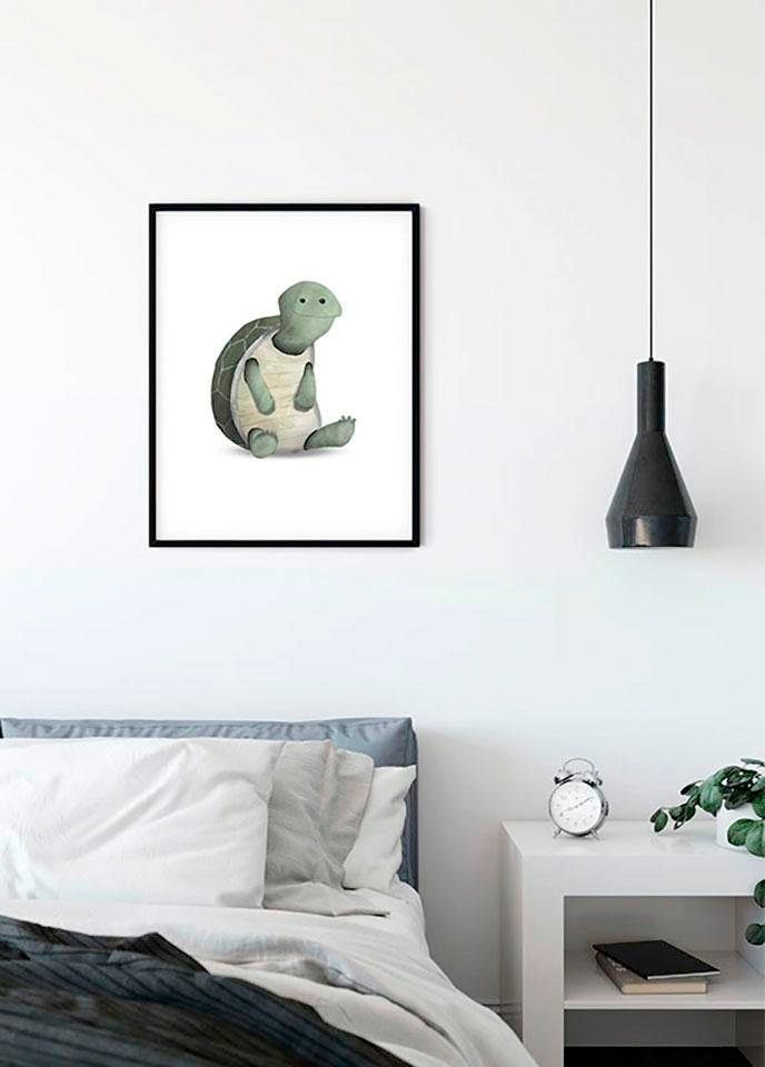 Komar Poster Cute Animal Turtle, Schildkröten (1 St), Kinderzimmer,  Schlafzimmer, Wohnzimmer