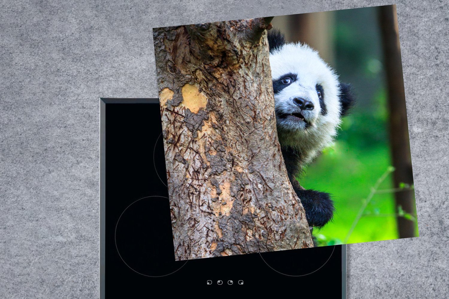 MuchoWow Herdblende-/Abdeckplatte Panda - Vinyl, küche Wald, cm, Baum 78x78 tlg), Arbeitsplatte für (1 - Ceranfeldabdeckung