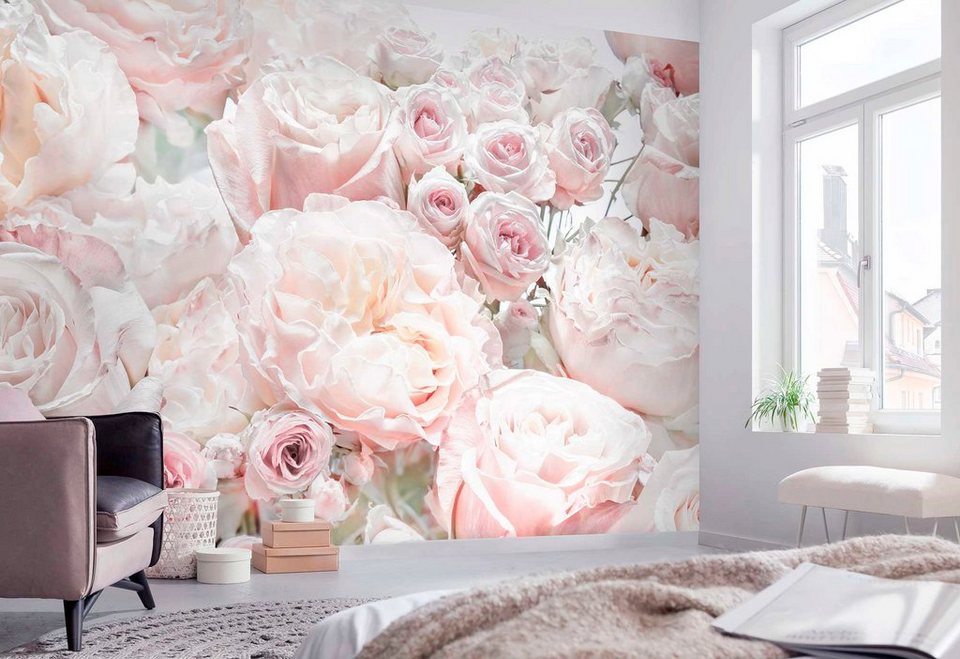 Komar Fototapete Spring Roses, 368x254 cm (Breite x Höhe), inklusive  Kleister, Der Frühling kommt – die Knospen sprießenEine wundervolle  Fototapete mit Rosen