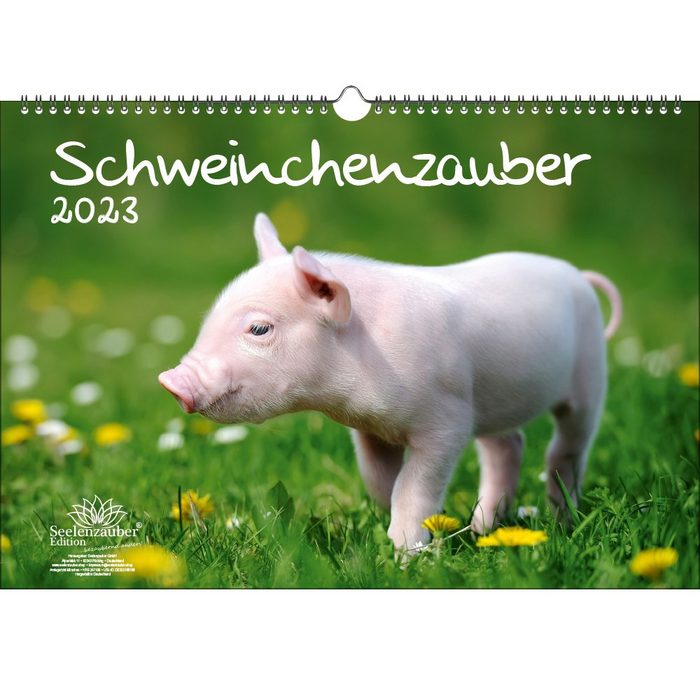 Seelenzauber Wandkalender Schweinchenzauber DIN A3 Kalender für 2023 Schweinchen - Seelenzauber