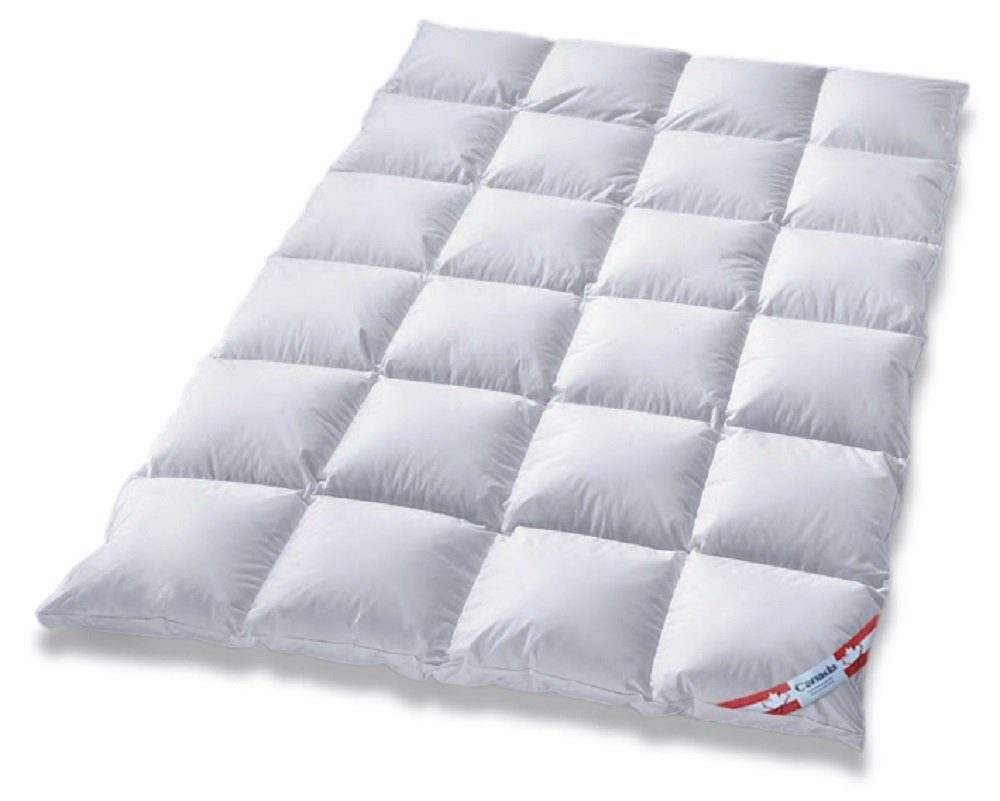Canada Daunenbettdecke Außensteg Kassettendecke Winterdecke 100% günstig online kaufen