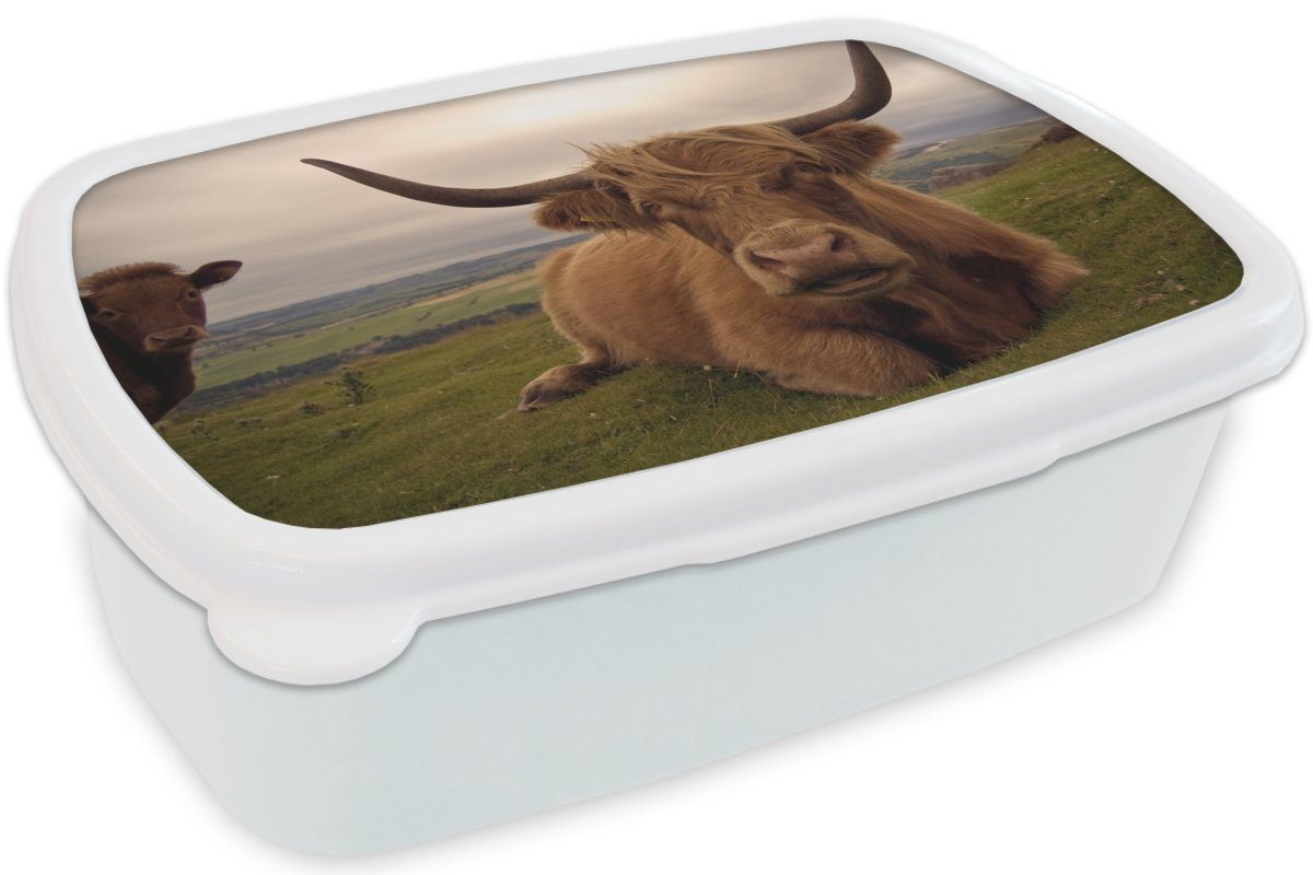 MuchoWow Lunchbox Schottischer Jungs Brotbox Highlander - und Kinder Kunststoff, und weiß für Berg, Mädchen - (2-tlg), Tiere für Brotdose, Erwachsene