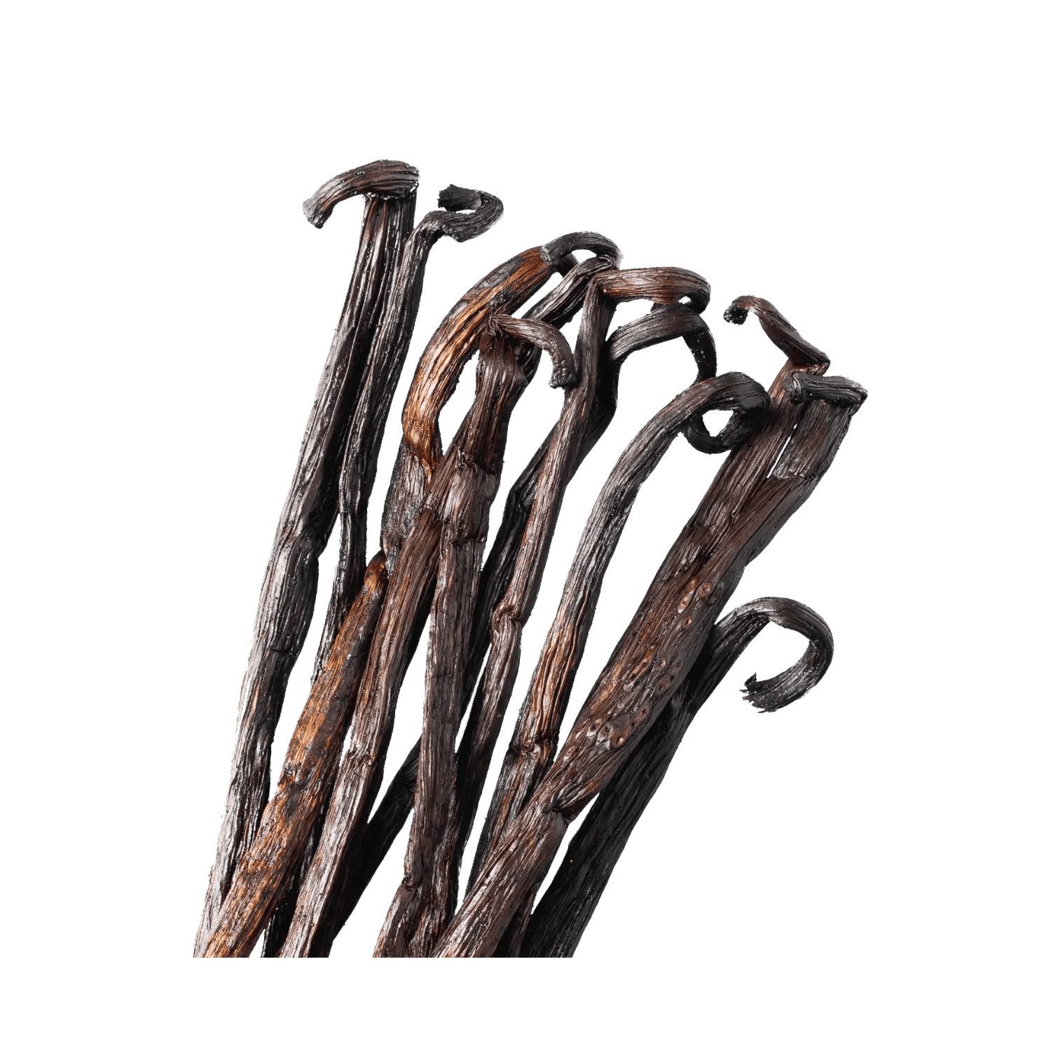 Bremer Gewürzhandel Gewürz Vanille-Stange Bourbon, ganz, 1er Pack, 2.5 g