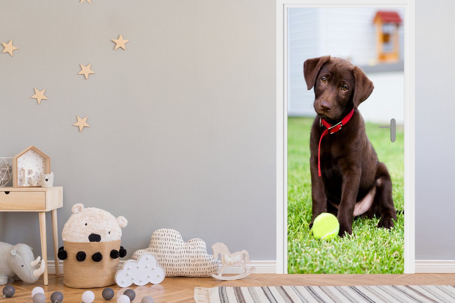 St), Türtapete Türaufkleber, cm Fototapete für MuchoWow mit 75x205 Tennisball, einem (1 Labrador Matt, bedruckt, Retriever Tür, Welpe