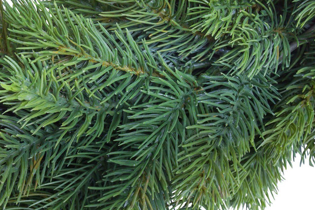 Kunstkranz »Edel-Adventskranz Rory« Tanne, Botanic-Haus, Höhe 17 cm-HomeTrends