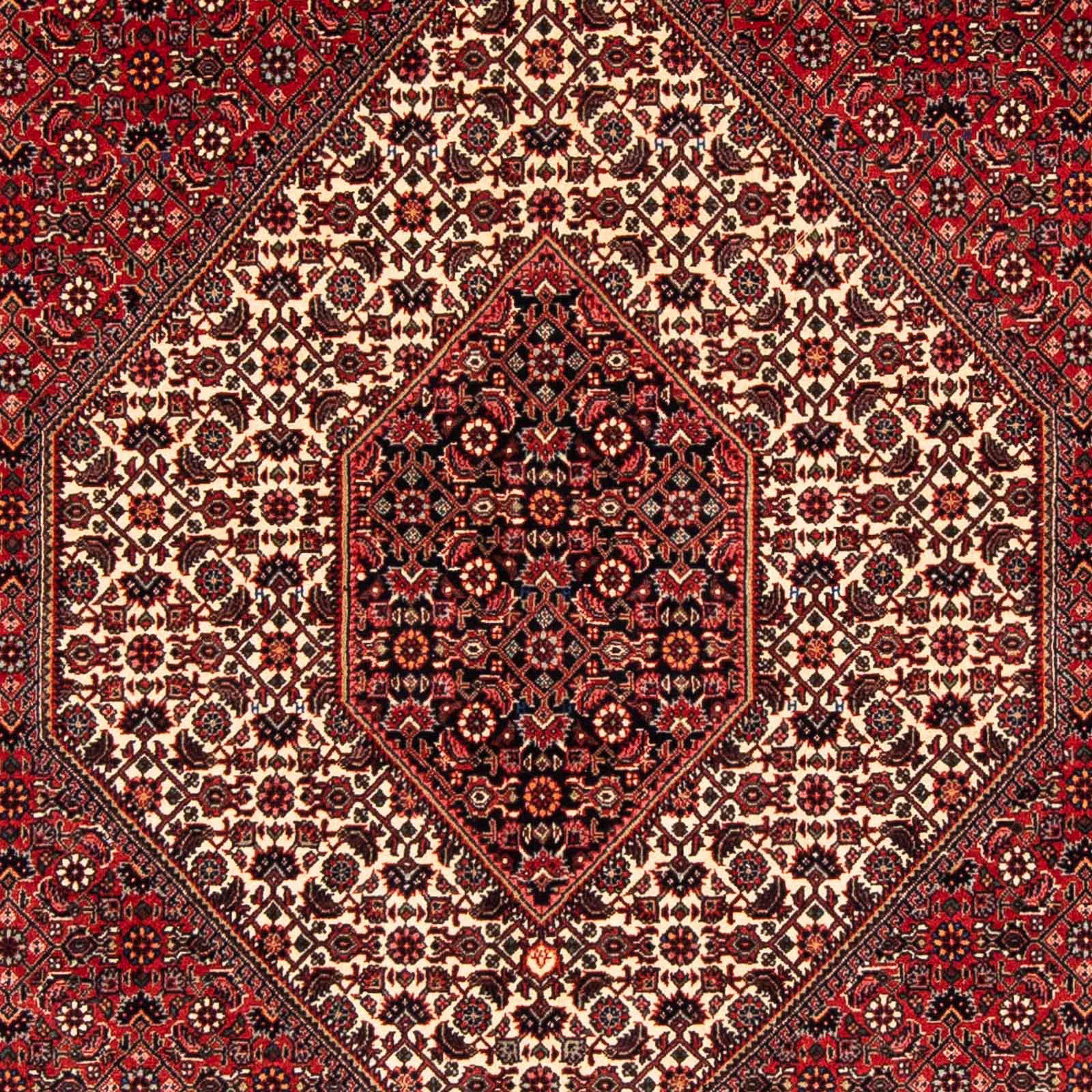 Orientteppich Perser rechteckig, 153 - cm Wohnzimmer, 232 Höhe: Zertifikat - Handgeknüpft, rot, 15 Bidjar mit morgenland, - Einzelstück x mm