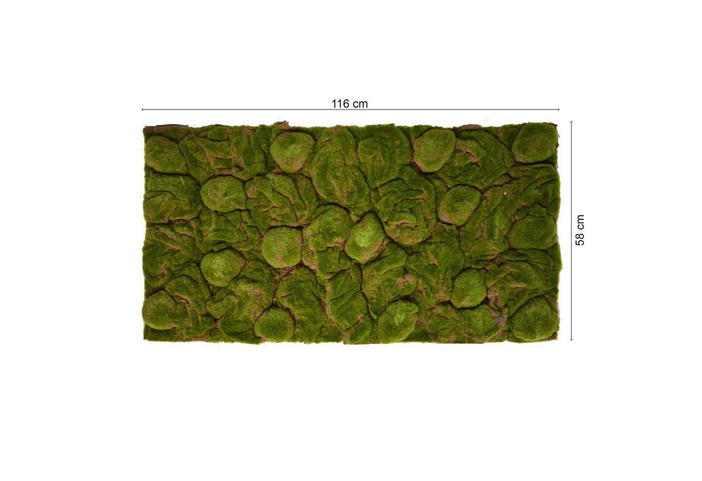 Thumbnail - Repiterra Terrarium Terrarium Rückwände für 120x60cm Terrarien
