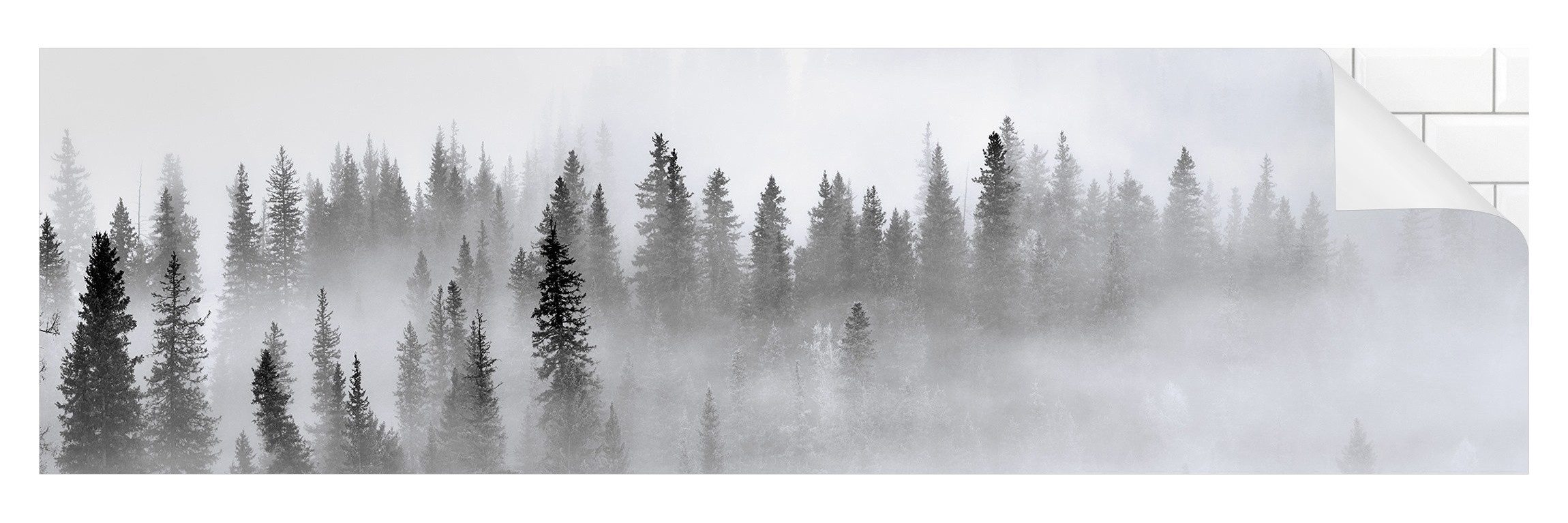 Bilderdepot24 Küchenrückwand schwarz-weiß dekor Bäume Wald Natur Wandpaneel günstig online kaufen