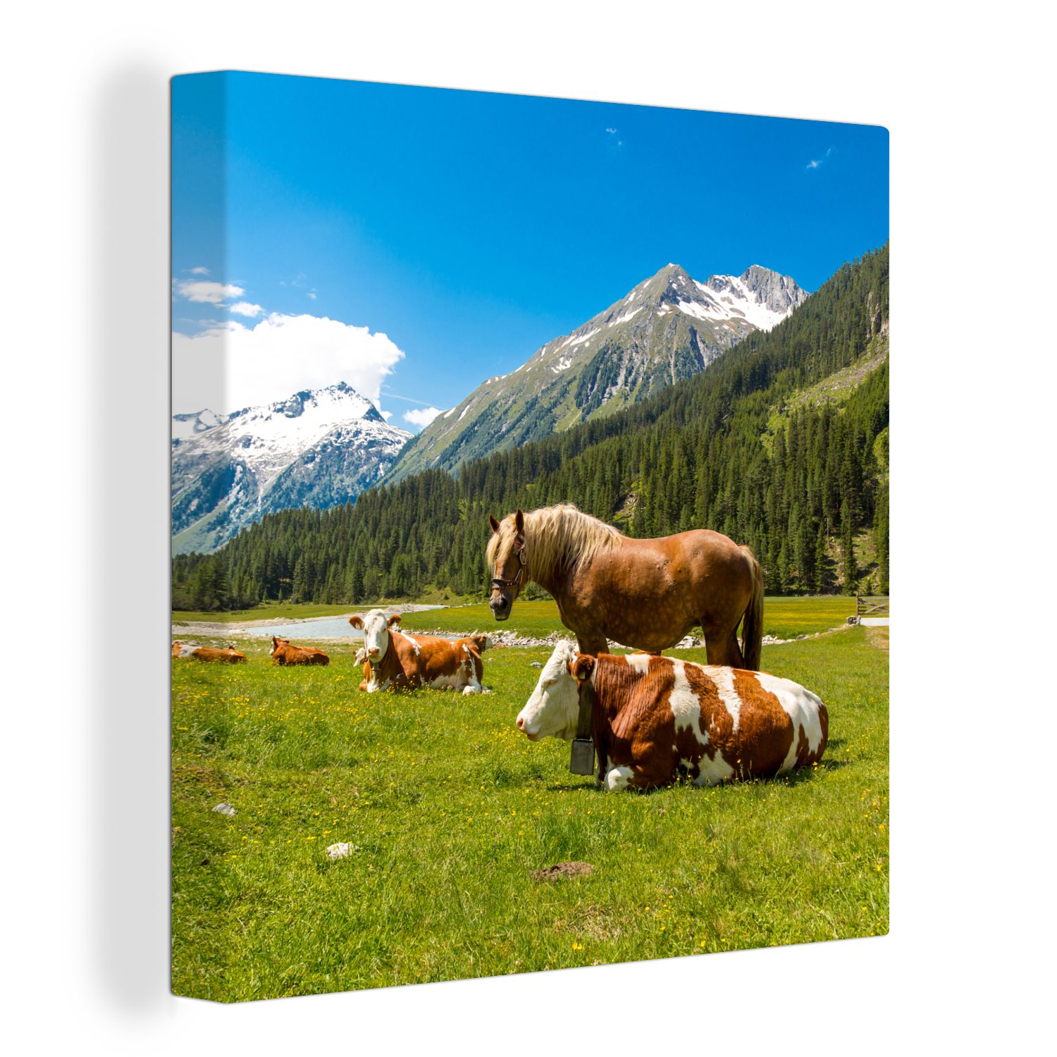 OneMillionCanvasses® Leinwandbild Kühe - Pferde - Alpen, (1 St), Leinwand Bilder für Wohnzimmer Schlafzimmer