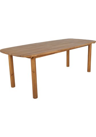 Best baro staliukas York (Packung 1-St...