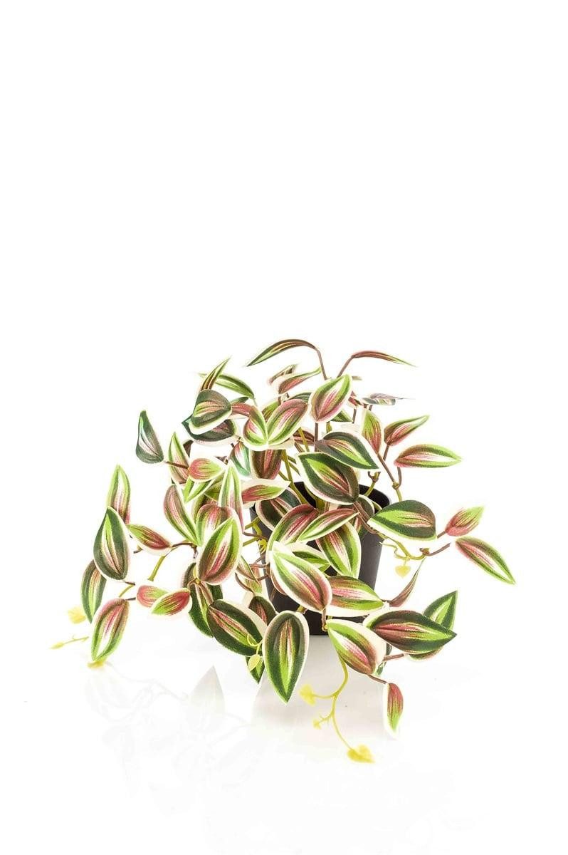 Künstliche Zimmerpflanze Künstliche Tradescantia zebrina DIHALLU im Dekotopf, grün-rot, 19cm Tradescantia (Tradescantia zebrina), artplants, Höhe 19.0 cm