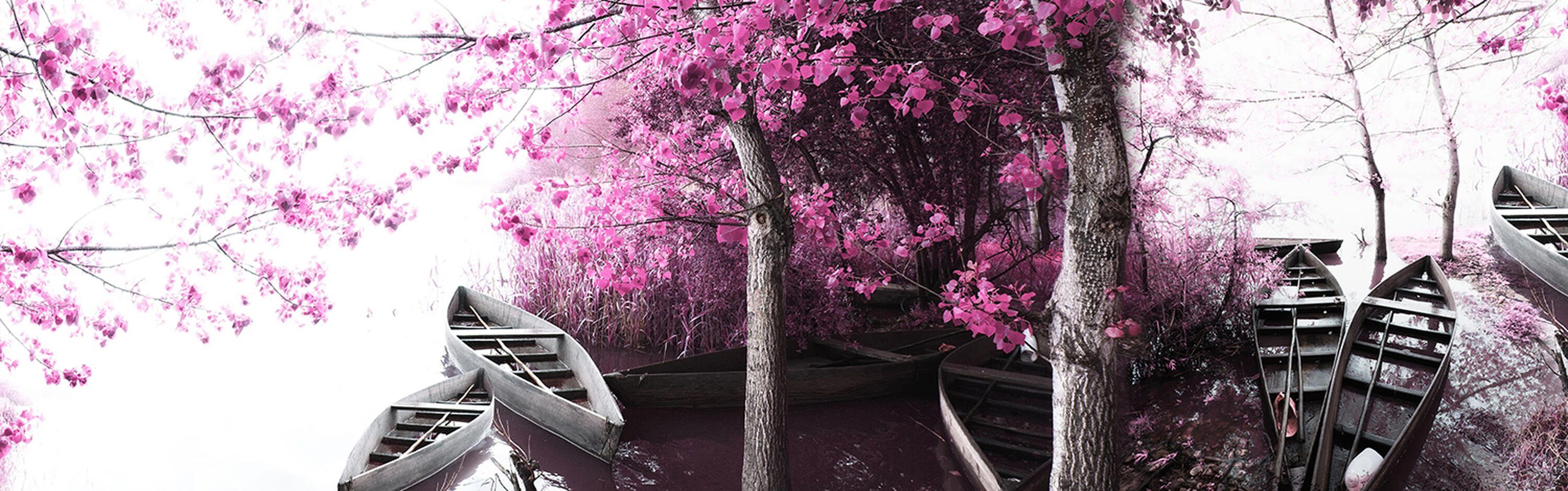 Größen Premium Hartschaum Ufer, (1-tlg), See Küchenrückwand in wandmotiv24 Blättern Boote rosa Nischenrückwand Wald versch.