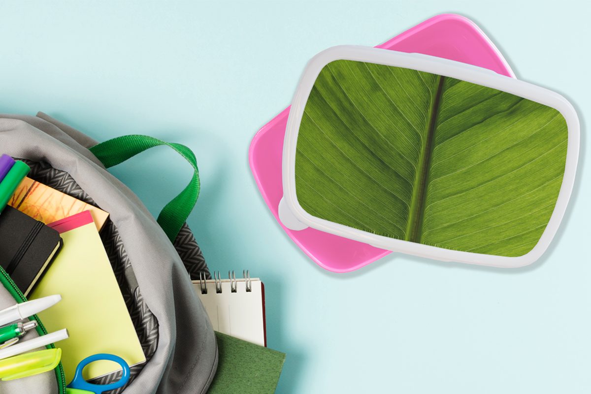 Mädchen, für Grün, Kinder, - Lunchbox Snackbox, rosa Kunststoff Textur - MuchoWow Brotbox Kunststoff, Blätter Erwachsene, Brotdose (2-tlg),