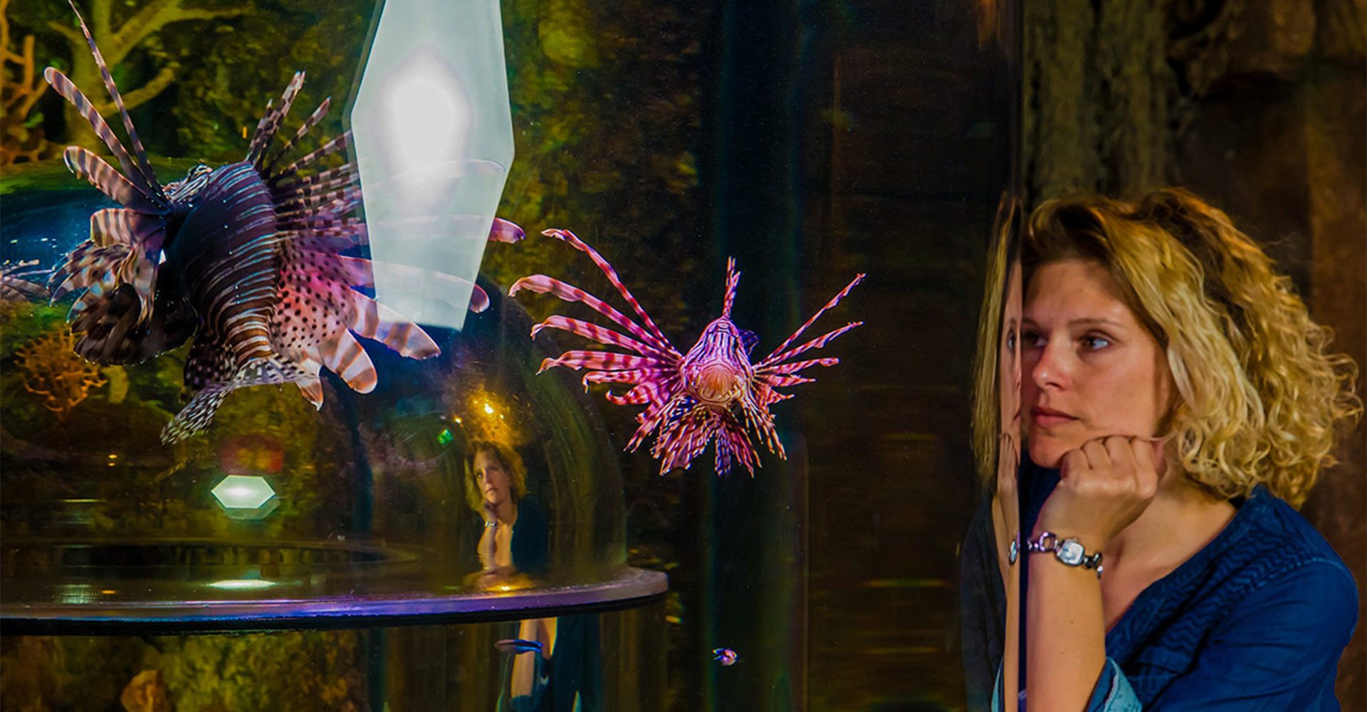 Erlebnisgutschein Sea Life München (1 EW + 1 Kleinkind)