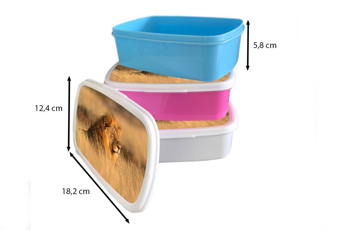- Lunchbox Brotbox Brotdose, und für - MuchoWow weiß (2-tlg), und Jungs Erwachsene, Tiere Afrika, Gras Mädchen Kunststoff, Kinder Wilde für