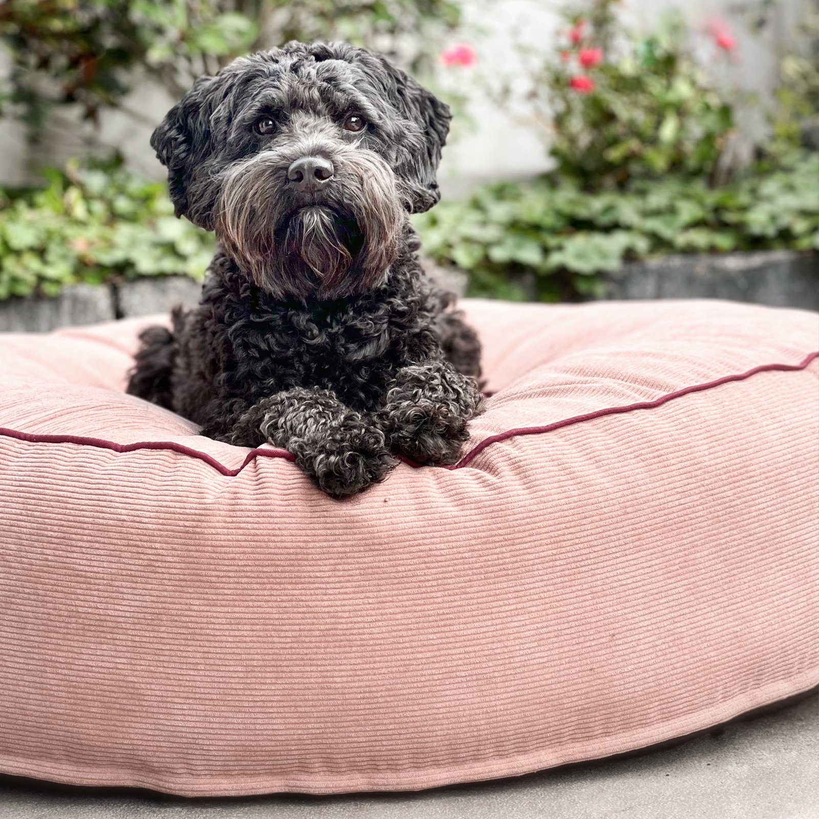 Mr. Cuddles Tierbett Lilly, Rundes Hundekissen, günstig online kaufen