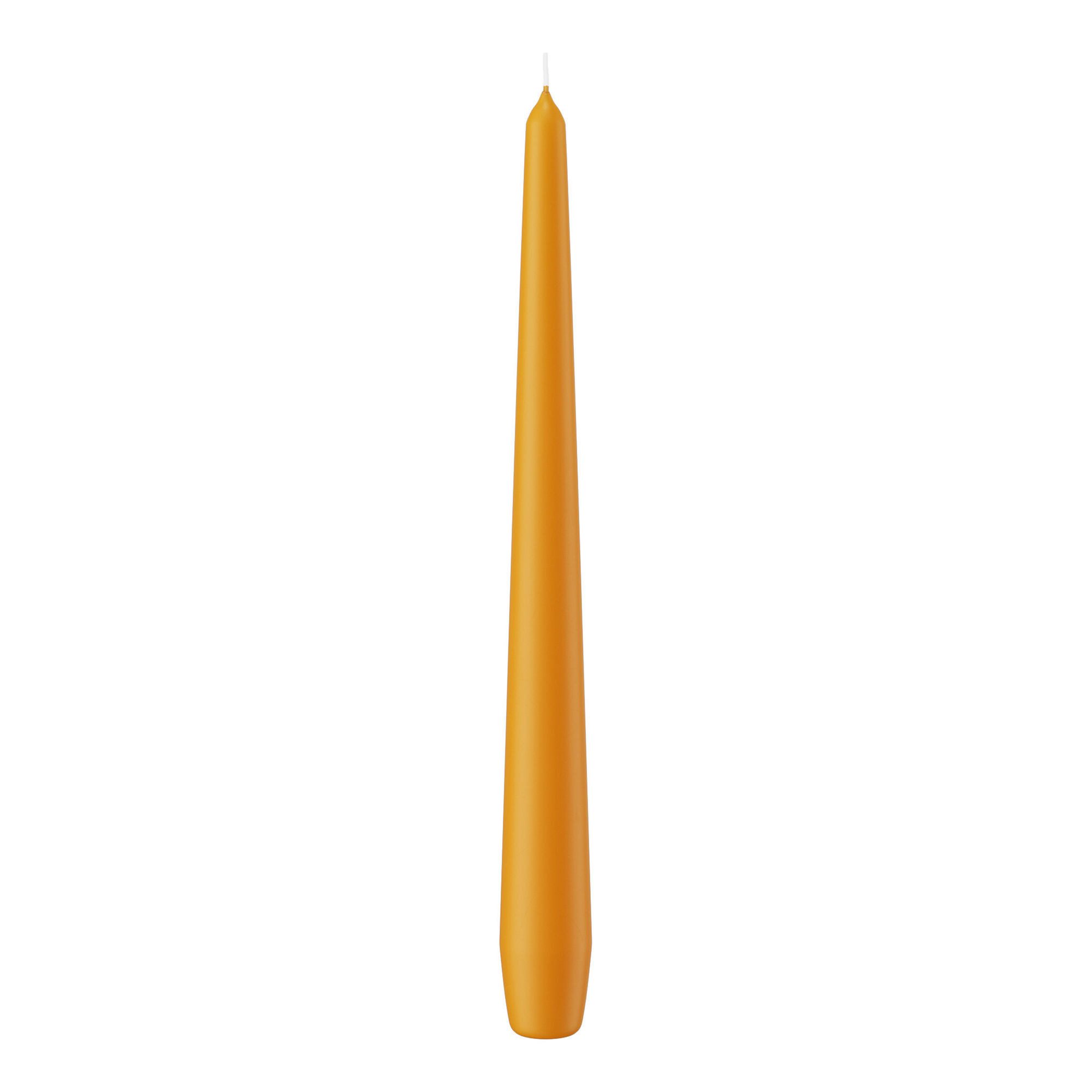 Wiedemann Kerzen Spitzkerze Spitzkerzen (konische Kerzen) Natur 250 x Ø 25 mm, 12 Stück