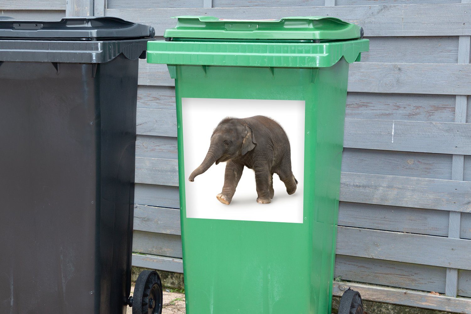 auf St), Container, Mülltonne, Kleiner Hintergrund weißem MuchoWow Abfalbehälter (1 Elefant Wandsticker Mülleimer-aufkleber, Sticker,