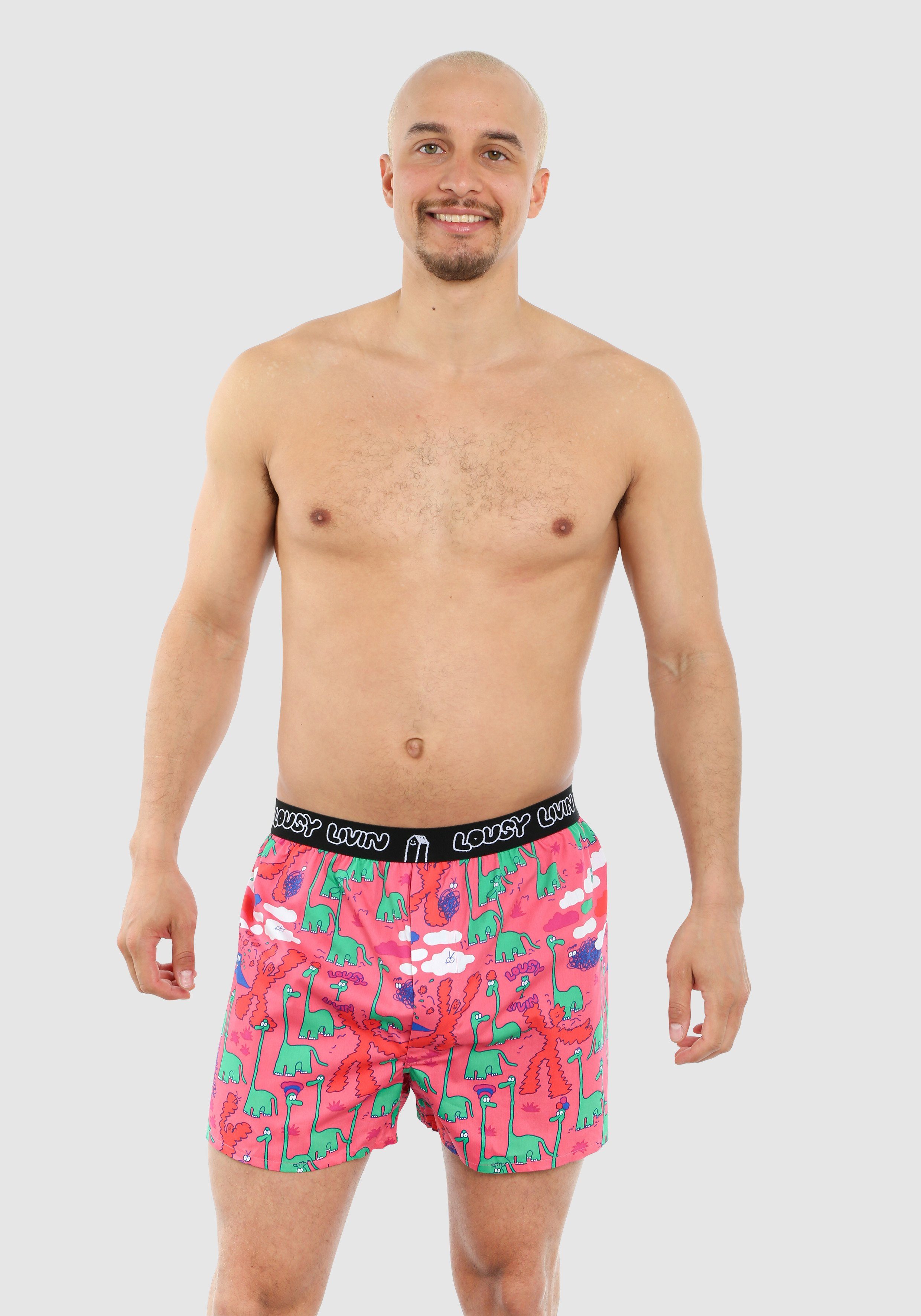 Lousy Livin Boxershorts Dino 2 Pack (2-St) mit amüsantem Allover-Muster