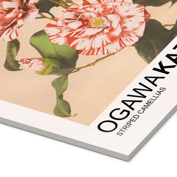 Posterlounge Acrylglasbild Ogawa Kazumasa, Striped Camellias, Wohnzimmer Modern Malerei