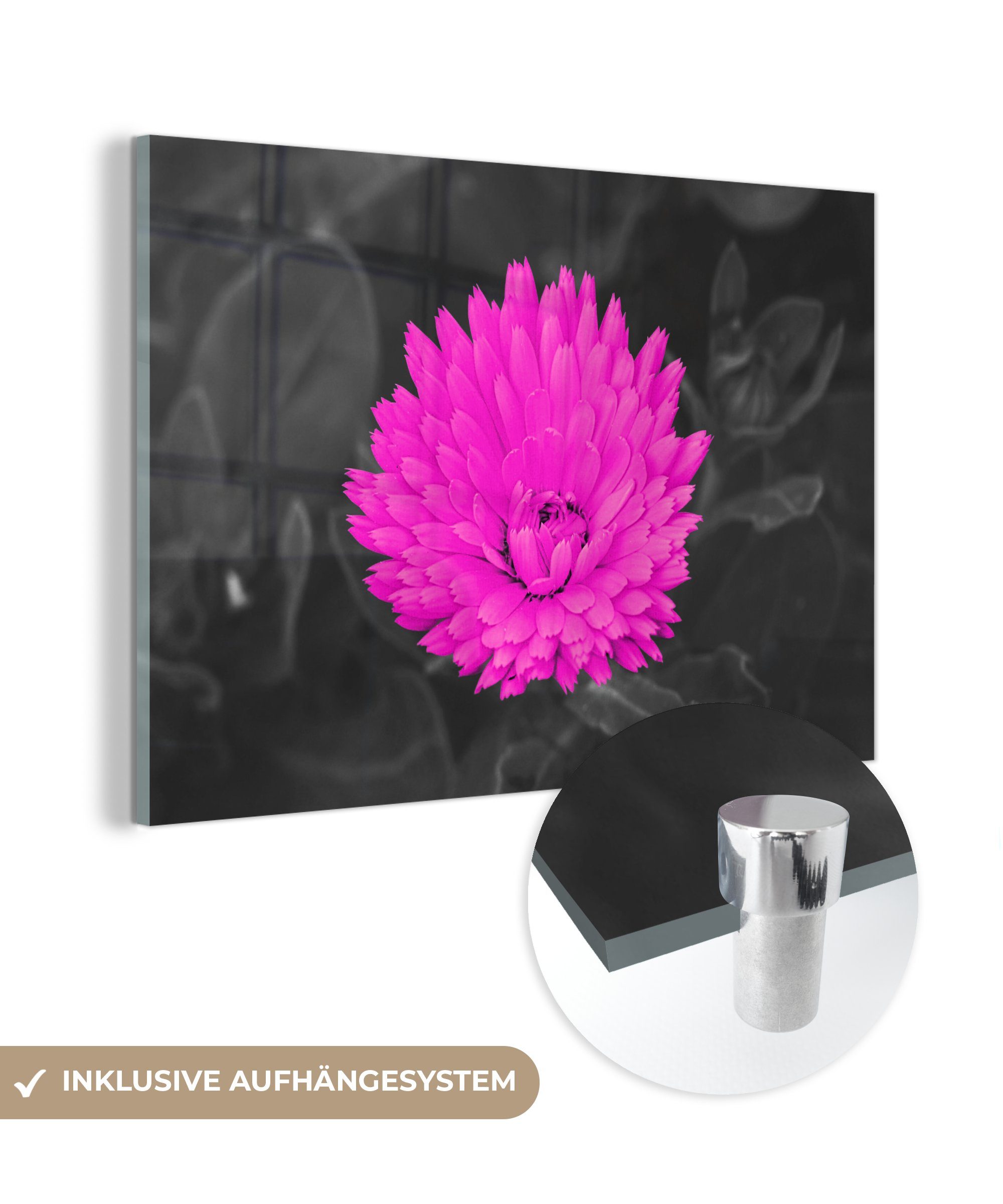 MuchoWow Acrylglasbild Blumen - Aquarell - Rosa, (1 St), Glasbilder - Bilder auf Glas Wandbild - Foto auf Glas - Wanddekoration