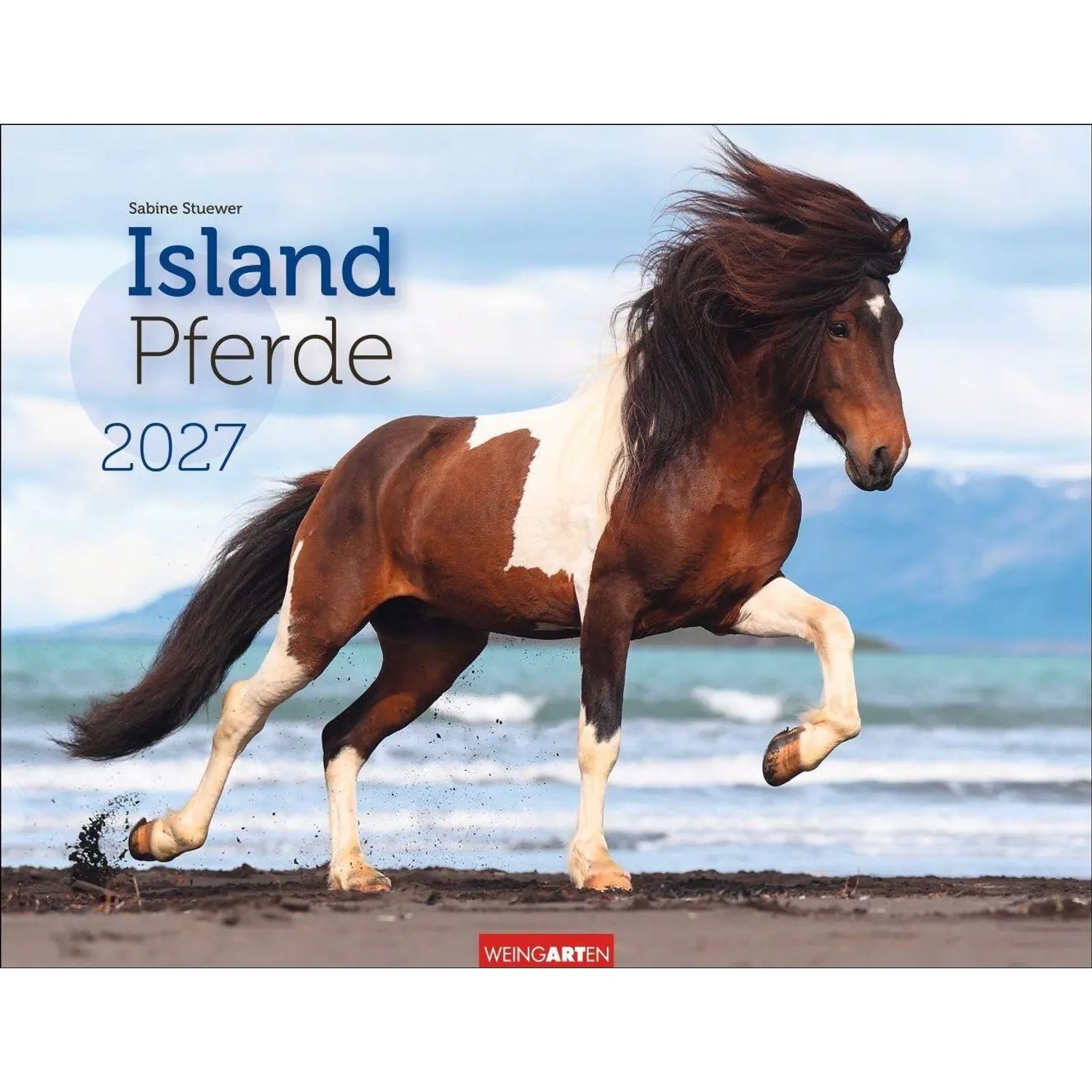 Wandkalender Islandpferde Kalender 2027