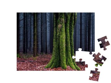 puzzleYOU Puzzle Moosbewachsener Baumstamm im Herbstwald, 48 Puzzleteile, puzzleYOU-Kollektionen Wälder, Wald & Bäume