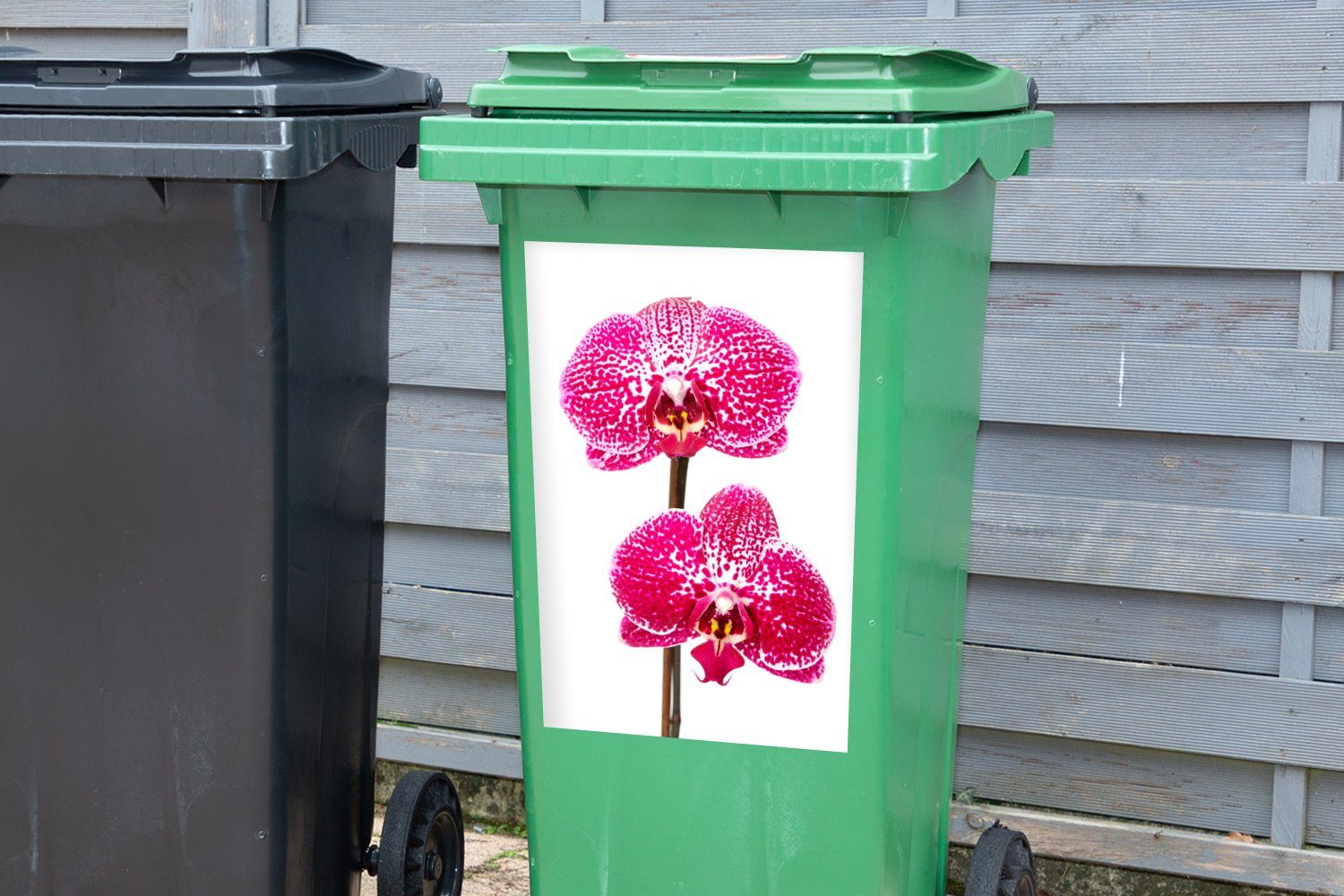 Orchidee Container, Abfalbehälter rosa Wandsticker Mülltonne, St), Sticker, MuchoWow Mülleimer-aufkleber, (1