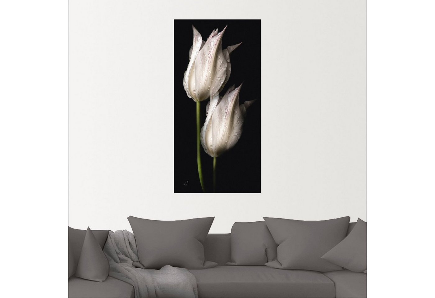 Artland Wandbild »Weiße Tulpen in der Nacht«, Blumenbilder (1 Stück), in vielen Größen & Produktarten - Alubild / Outdoorbild für den Außenbereich, Leinwandbild, Poster, Wandaufkleber / Wandtattoo auch für Badezimmer geeignet-kaufen