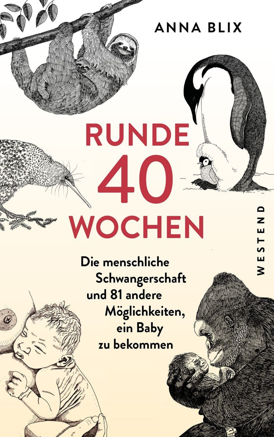 Runde 40 Wochen / Anna Blix