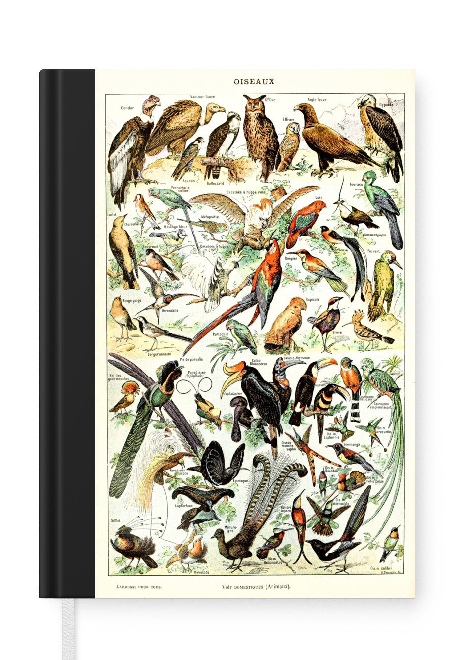MuchoWow Notizbuch Vogel - Tiere - Natur, Journal, Merkzettel, Tagebuch, Notizheft, A5, 98 Seiten, Haushaltsbuch