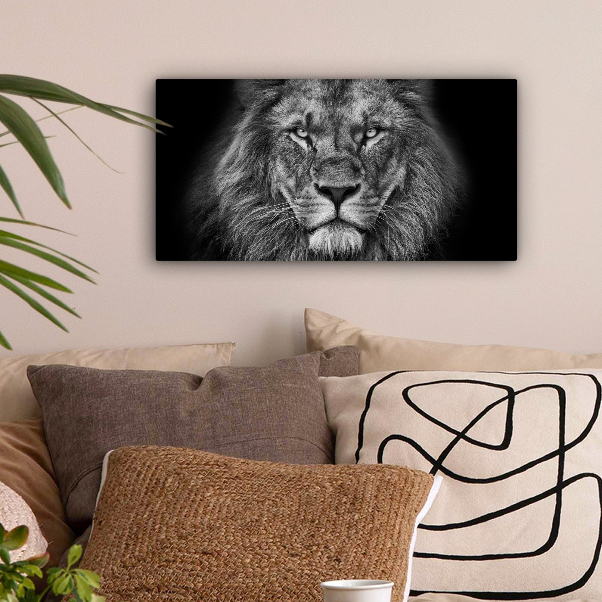 OneMillionCanvasses® Leinwandbild Panorama Tiere - Löwe - Schwarz - Weiß - günstig online kaufen