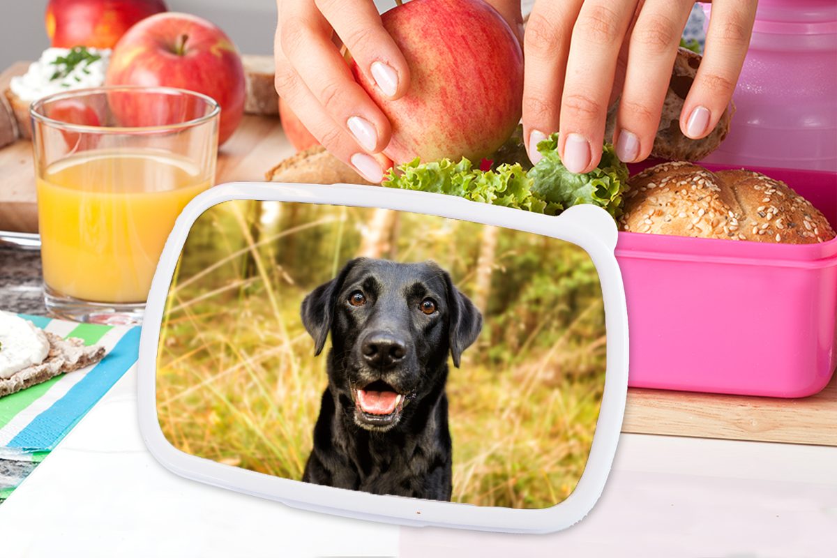 Hund, Kunststoff rosa Kunststoff, Snackbox, Kinder, für schwarzer Brotbox Erwachsene, MuchoWow (2-tlg), Lunchbox Mädchen, Glücklicher Brotdose