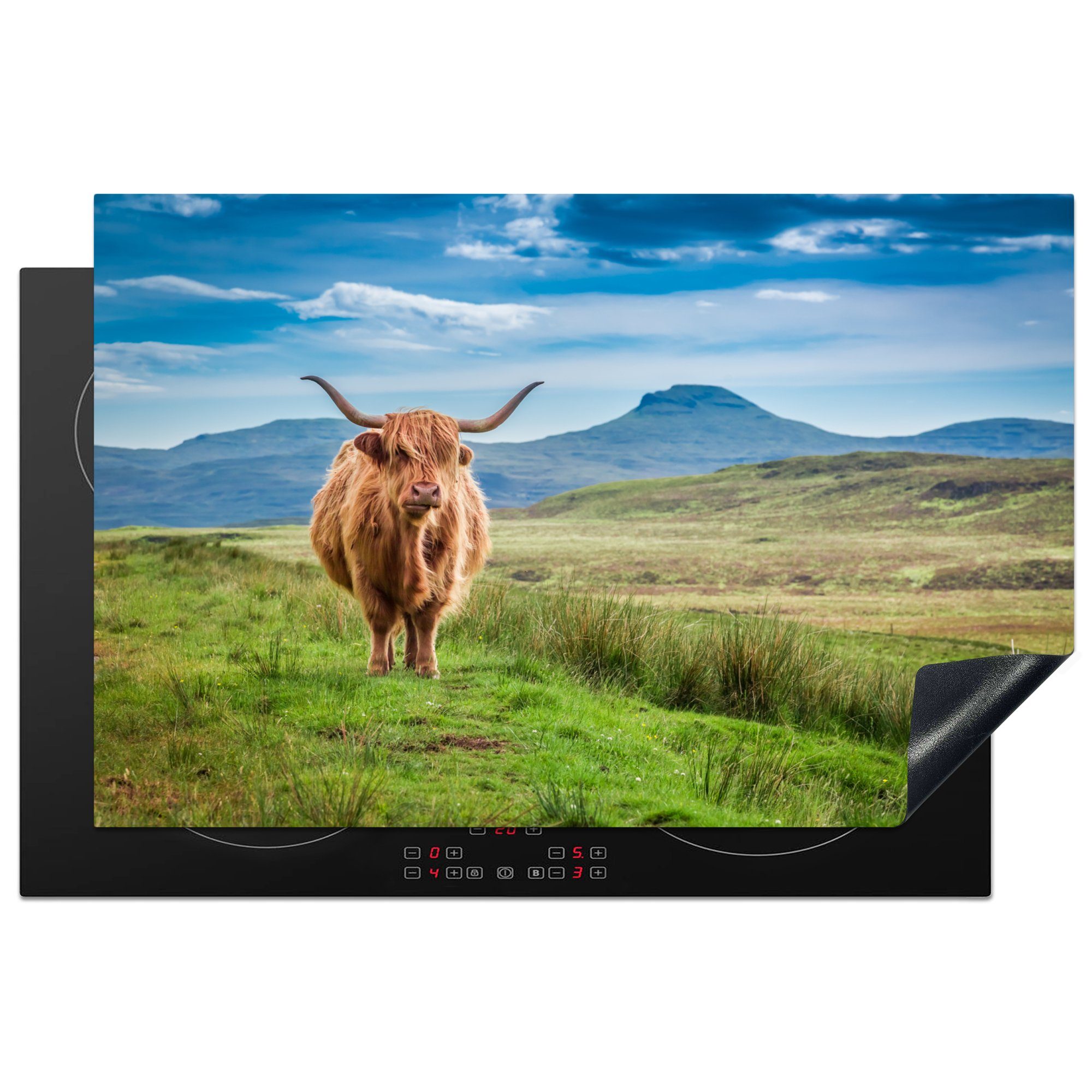 MuchoWow Herdblende-/Abdeckplatte Kuh - Landschaft - Schottland, Vinyl, (1 tlg), 81x52 cm, Induktionskochfeld Schutz für die küche, Ceranfeldabdeckung