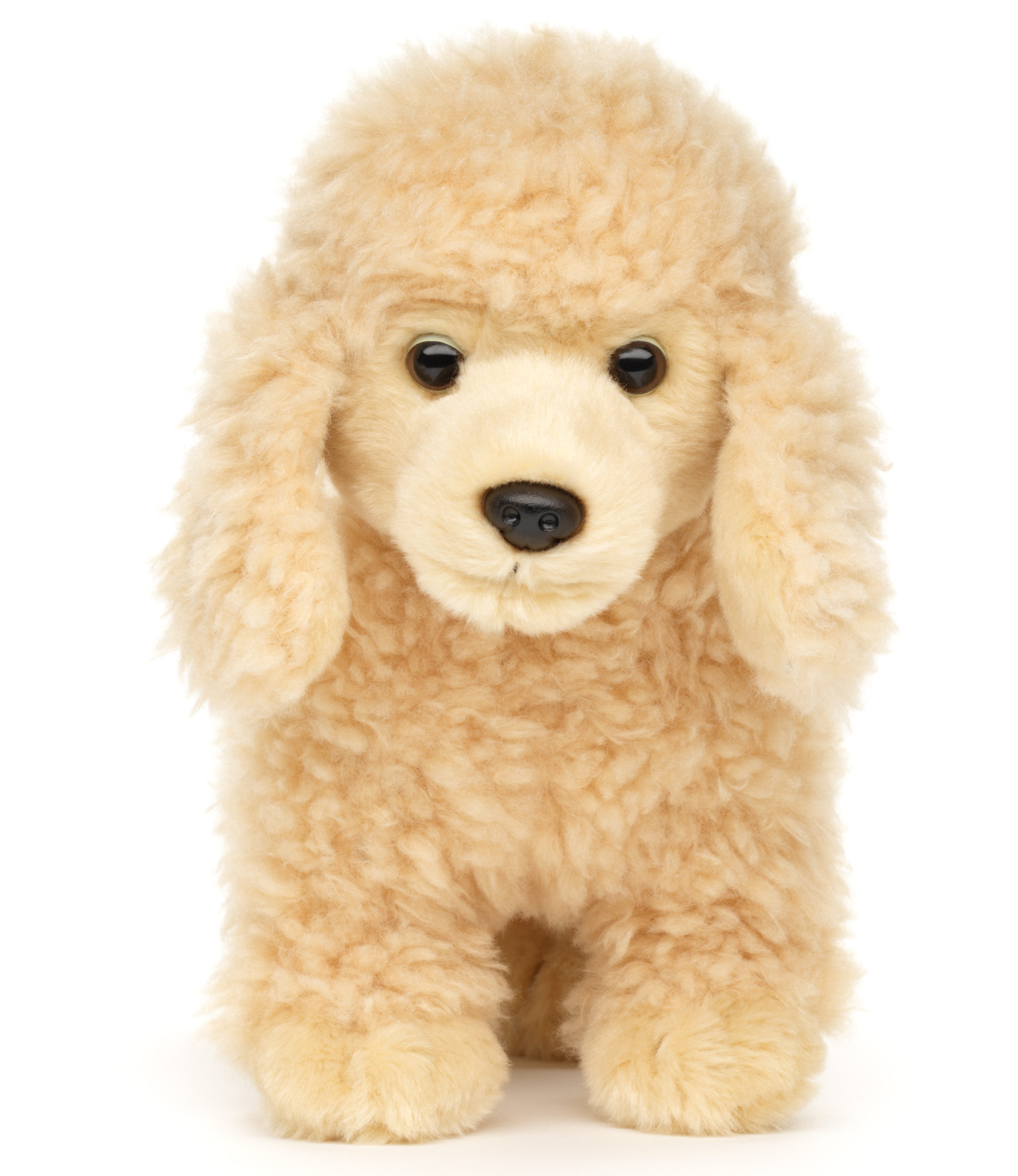 Uni-Toys Kuscheltier Pudel - Versch. Farben - Mit/ohne Leine - 30 cm (Länge) - Plüschtier, zu 100 % recyceltes Füllmaterial