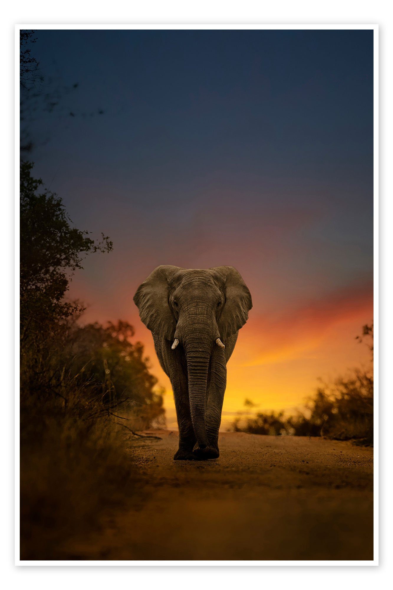 Poster Editors Choice