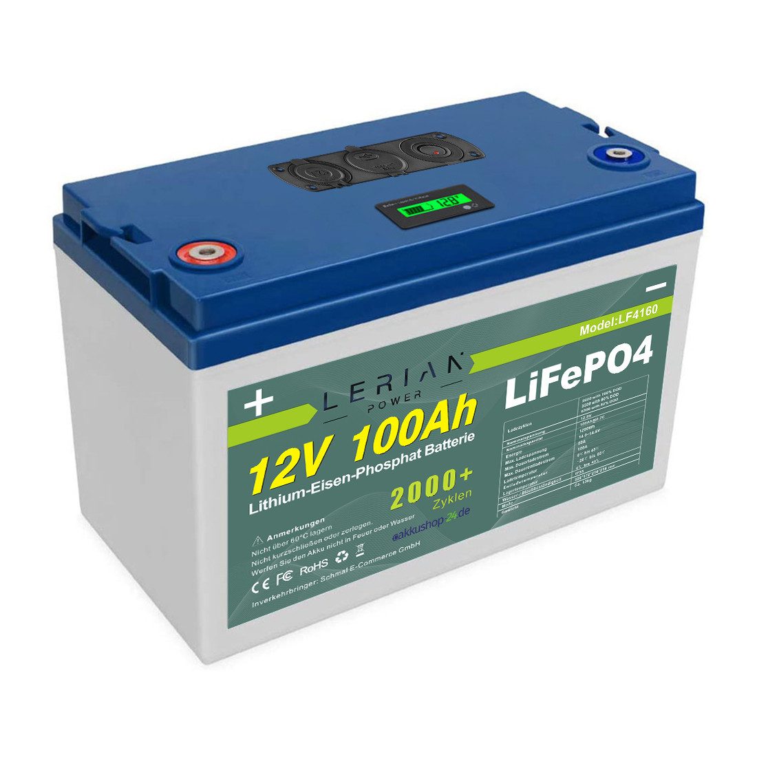 LERIAN POWER LiFePO4 Akku 12V 100Ah 100A Lithium-Eisen-Phosphat Batterie Camping Akku
