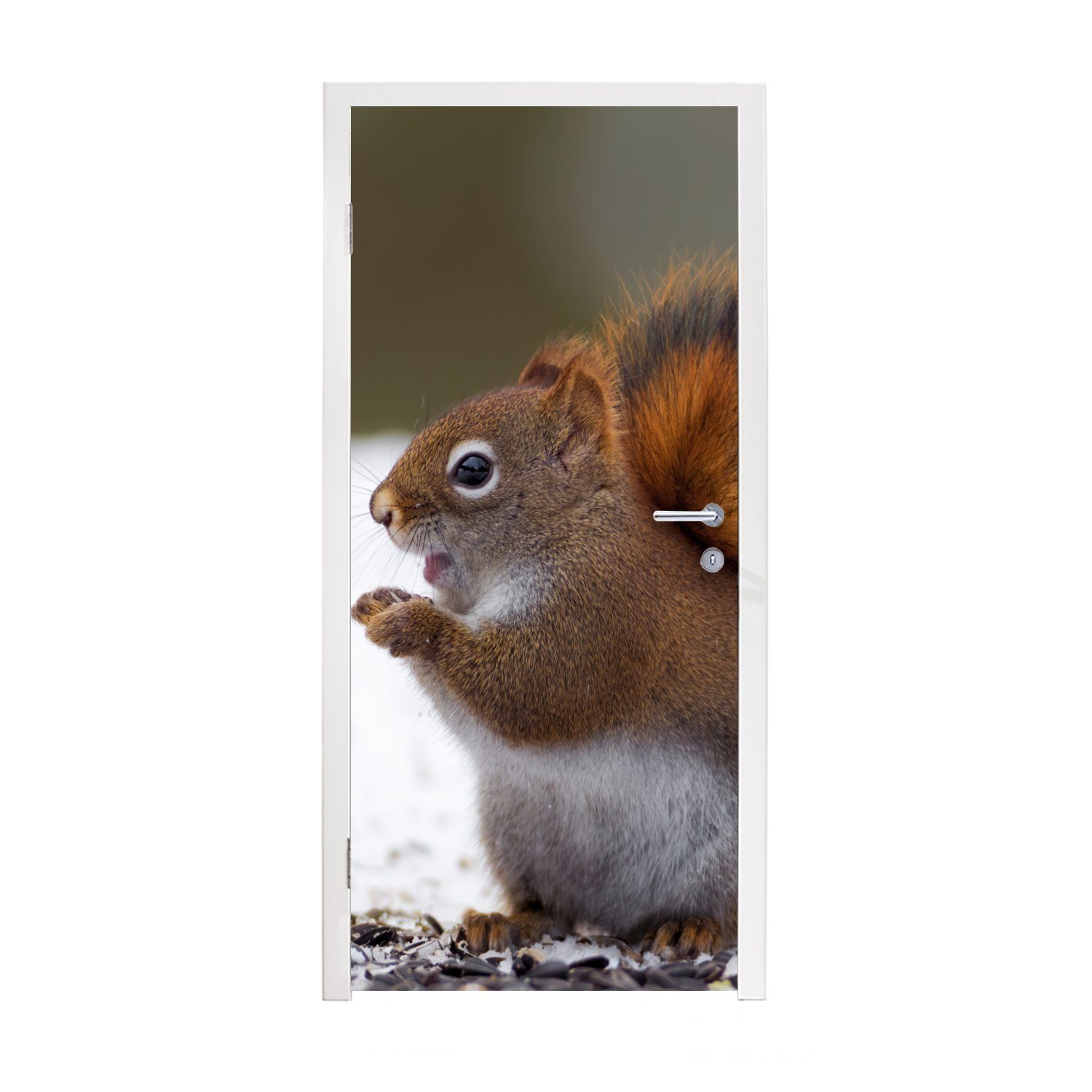 MuchoWow Türtapete Eichhörnchen - Tier - Schnee - Winter, Matt, bedruckt, (1 St), Fototapete für Tür, Türaufkleber, 75x205 cm