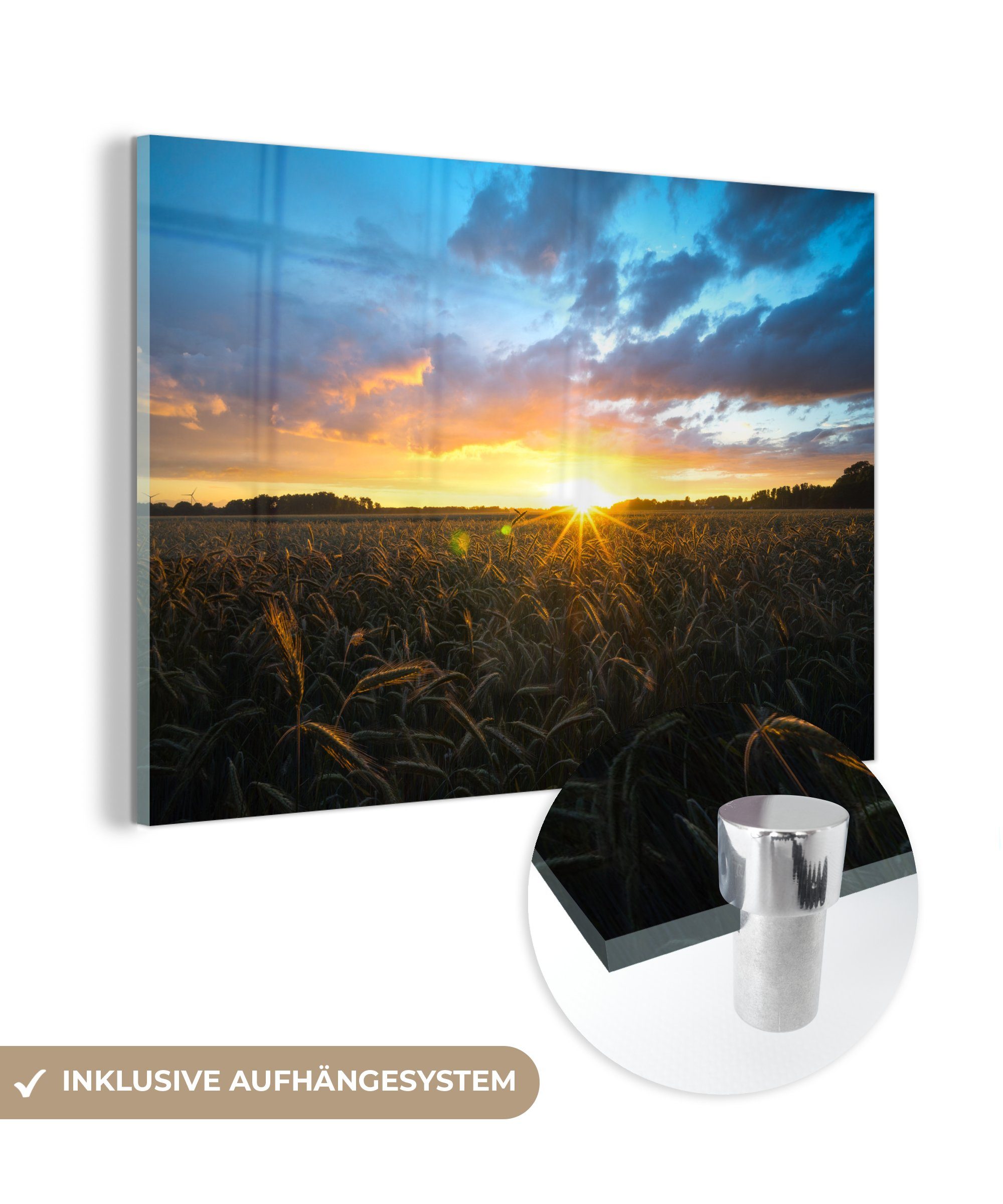 MuchoWow Acrylglasbild Sonne - Himmel - Mais, (1 St), Acrylglasbilder Wohnzimmer & Schlafzimmer
