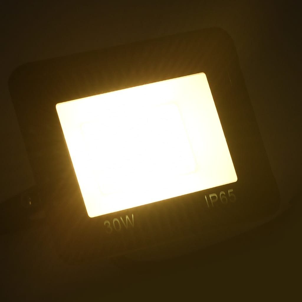 Warmweiß W LED-Fluter vidaXL Steckdose 30
