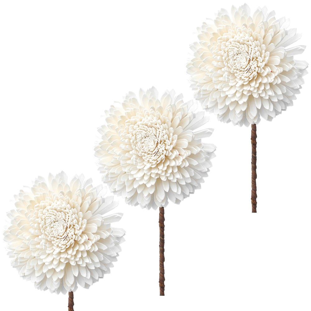 Kunstblume Solablüten Chrysanthemen basteln naturweiß 3er Set Ø 12 cm Chrysantheme, matches21 HOME & HOBBY, Höhe 12 cm